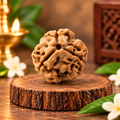 3 Mukhi Original Nepal Rudraksha