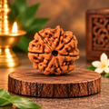 7 Mukhi Original Nepal Rudraksha