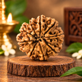 9 Mukhi Original Nepal Rudraksha