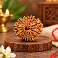 11 Mukhi Original Nepal Rudraksha